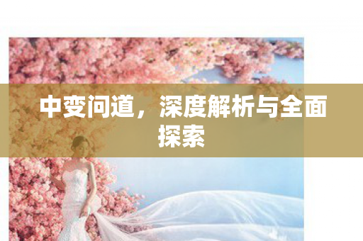 中变问道，深度解析与全面探索