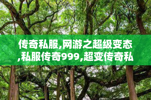 传奇私服,网游之超级变态,私服传奇999,超变传奇私服发布网,私服传奇999