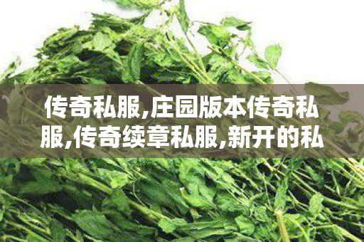 传奇私服,庄园版本传奇私服,传奇续章私服,新开的私服,传奇续章私服
