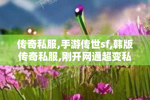 传奇私服,手游传世sf,韩版传奇私服,刚开网通超变私服,韩版传奇私服