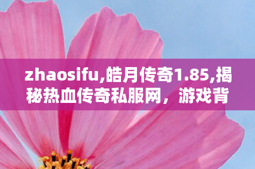 zhaosifu,皓月传奇1.85,揭秘热血传奇私服网，游戏背后的真相与1