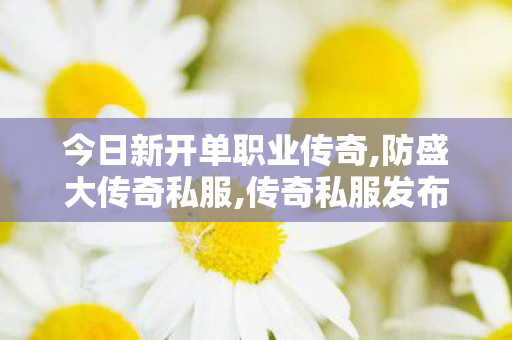 今日新开单职业传奇,防盛大传奇私服,传奇私服发布网站，全面解析与合规指南