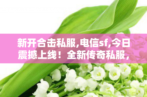 新开合击私服,电信sf,今日震撼上线！全新传奇私服，重燃热血征战之旅