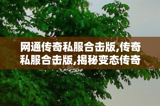 网通传奇私服合击版,传奇私服合击版,揭秘变态传奇私服，游戏世界的1之选