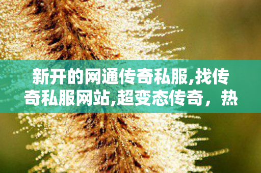 新开的网通传奇私服,找传奇私服网站,超变态传奇，热血征战，传奇永恒的史诗之旅