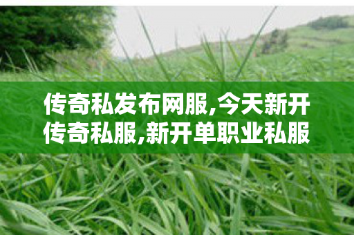传奇私发布网服,今天新开传奇私服,新开单职业私服传奇，重燃热血，探索未知的冒险之路