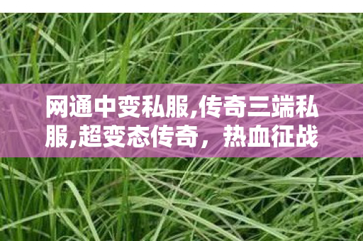 网通中变私服,传奇三端私服,超变态传奇，热血征战，英雄崛起