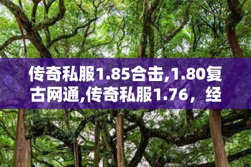 传奇私服1.85合击,1.80复古网通,传奇私服1.76，经典重现，热血再燃的传奇之旅