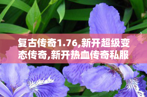 复古传奇1.76,新开超级变态传奇,新开热血传奇私服网，全面解析与深度探讨