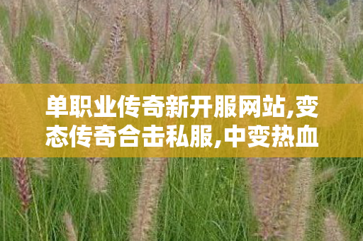 单职业传奇新开服网站,变态传奇合击私服,中变热血传奇私服，经典游戏体验的深度解析
