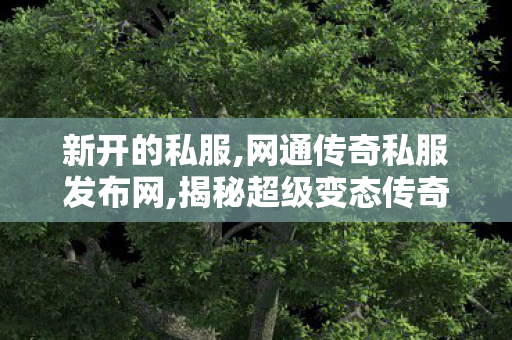 新开的私服,网通传奇私服发布网,揭秘超级变态传奇私服，游戏世界中的1行为与1