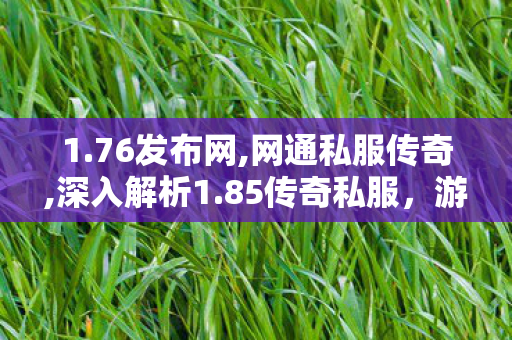 1.76发布网,网通私服传奇,深入解析1.85传奇私服，游戏体验、安全1与1责任