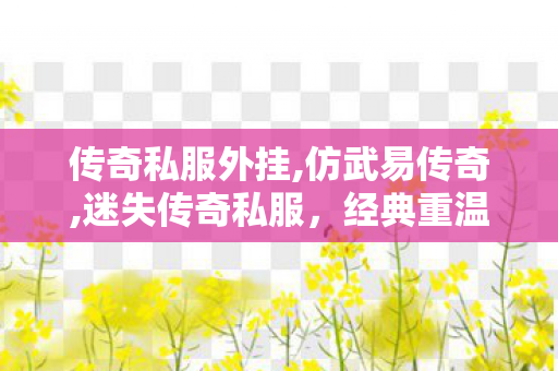传奇私服外挂,仿武易传奇,迷失传奇私服，经典重温，传奇再启