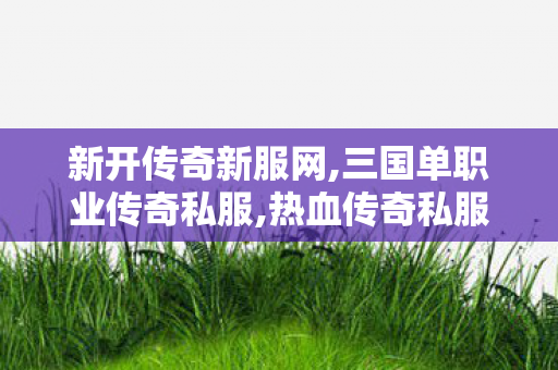 新开传奇新服网,三国单职业传奇私服,热血传奇私服，重温经典，再战江湖！