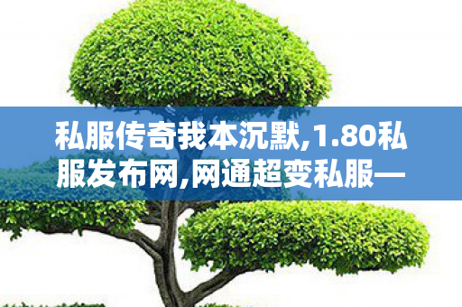 私服传奇我本沉默,1.80私服发布网,网通超变私服——全面解析与详细介绍