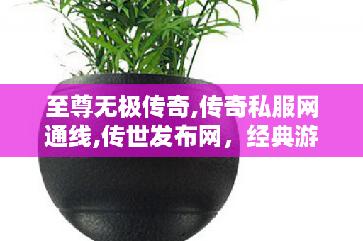 至尊无极传奇,传奇私服网通线,传世发布网，经典游戏资源一站式发布平台