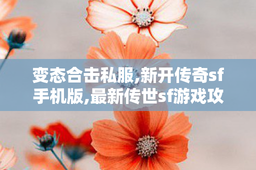 变态合击私服,新开传奇sf手机版,最新传世sf游戏攻略，全面解析与深度探索