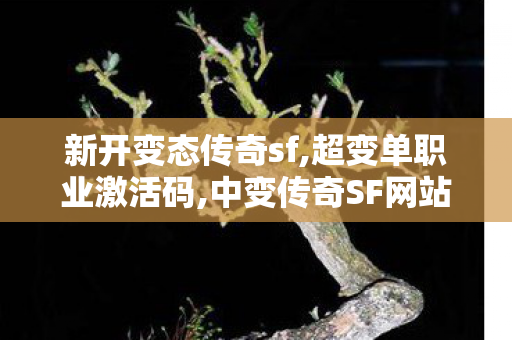 新开变态传奇sf,超变单职业激活码,中变传奇SF网站，经典传奇游戏私服体验新篇章