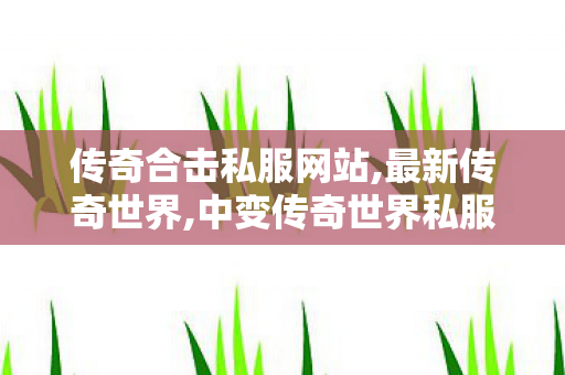 传奇合击私服网站,最新传奇世界,中变传奇世界私服——全面解析与详细介绍