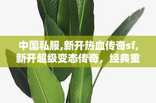中国私服,新开热血传奇sf,新开超级变态传奇，经典重现，热血传奇之旅