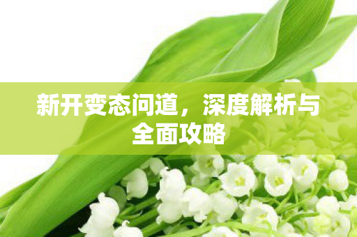 新开变态问道，深度解析与全面攻略