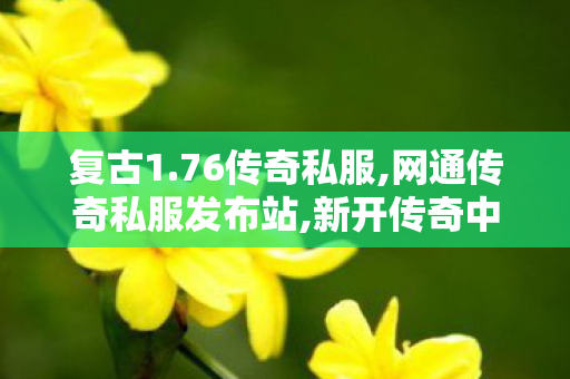 复古1.76传奇私服,网通传奇私服发布站,新开传奇中变，经典重现，探索未知的冒险世界