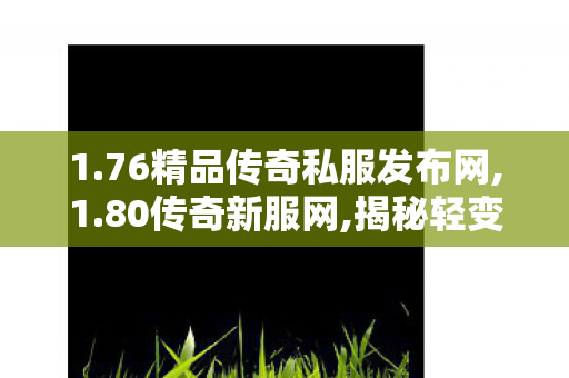 1.76精品传奇私服发布网,1.80传奇新服网,揭秘轻变传奇私服发布网，1行为与11分析