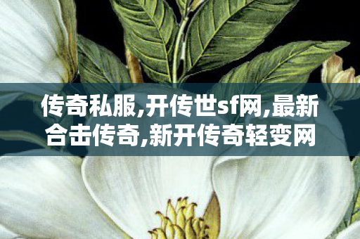 传奇私服,开传世sf网,最新合击传奇,新开传奇轻变网站,最新合击传奇