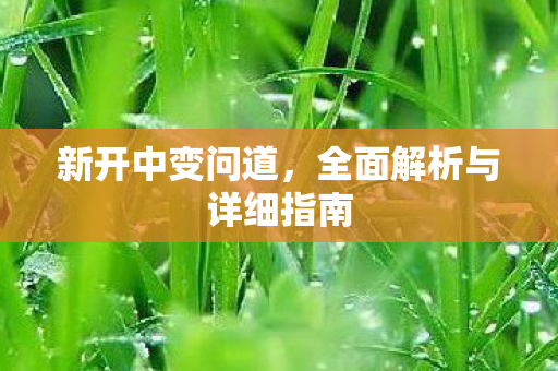 新开中变问道，全面解析与详细指南