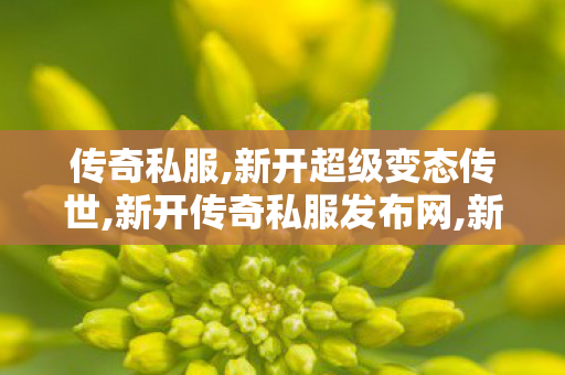 传奇私服,新开超级变态传世,新开传奇私服发布网,新开变态传奇发布网,新开传奇私服发布网