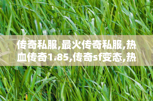 传奇私服,最火传奇私服,热血传奇1.85,传奇sf变态,热血传奇1.85