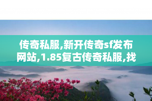 传奇私服,新开传奇sf发布网站,1.85复古传奇私服,找sf999,1.85复古传奇私服