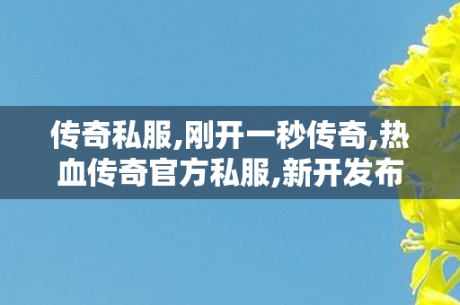 传奇私服,刚开一秒传奇,热血传奇官方私服,新开发布网,热血传奇官方私服