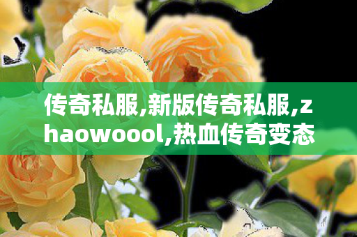 传奇私服,新版传奇私服,zhaowoool,热血传奇变态私服,zhaowoool