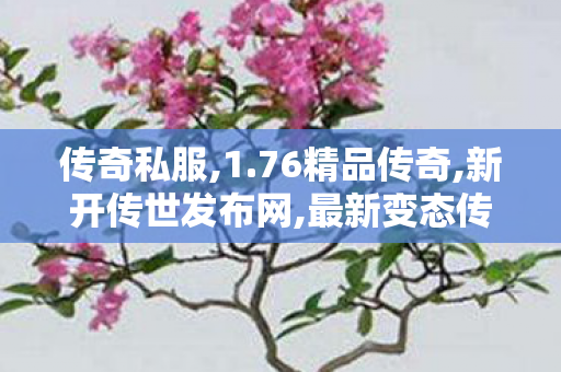 传奇私服,1.76精品传奇,新开传世发布网,最新变态传奇,新开传世发布网