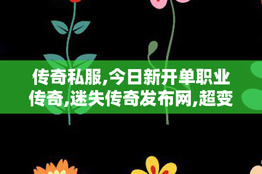 传奇私服,今日新开单职业传奇,迷失传奇发布网,超变态热血传奇私服,迷失传奇发布网