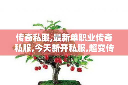传奇私服,最新单职业传奇私服,今天新开私服,超变传奇私服,今天新开私服