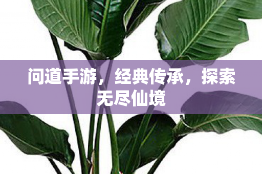 问道手游，经典传承，探索无尽仙境