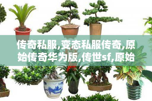 传奇私服,变态私服传奇,原始传奇华为版,传世sf,原始传奇华为版