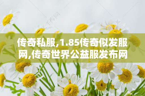 传奇私服,1.85传奇似发服网,传奇世界公益服发布网,新开传奇私服发布,传奇世界公益服发布网