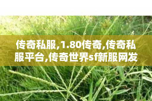 传奇私服,1.80传奇,传奇私服平台,传奇世界sf新服网发布网,传奇私服平台