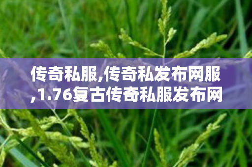 传奇私服,传奇私发布网服,1.76复古传奇私服发布网,传奇合击私服,1.76复古传奇私服发布网