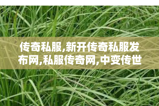 传奇私服,新开传奇私服发布网,私服传奇网,中变传世私服,私服传奇网