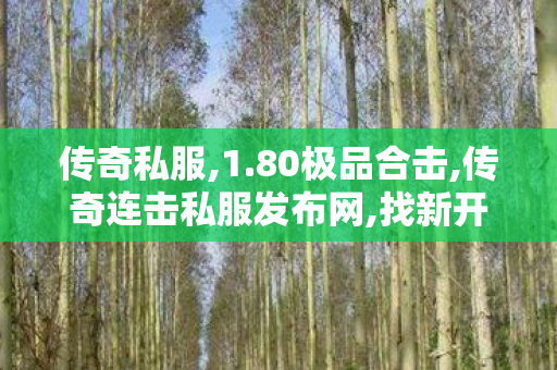 传奇私服,1.80极品合击,传奇连击私服发布网,找新开传世私服,传奇连击私服发布网