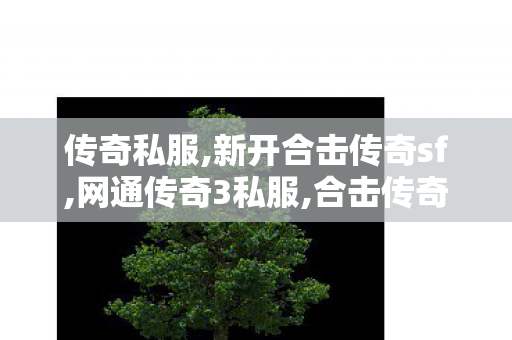 传奇私服,新开合击传奇sf,网通传奇3私服,合击传奇私服网,网通传奇3私服