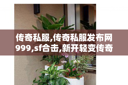 传奇私服,传奇私服发布网999,sf合击,新开轻变传奇私服,sf合击