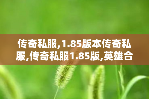 传奇私服,1.85版本传奇私服,传奇私服1.85版,英雄合击私服发布网,传奇私服1.85版