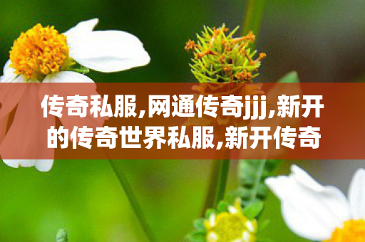传奇私服,网通传奇jjj,新开的传奇世界私服,新开传奇私服合击版,新开的传奇世界私服