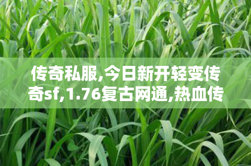 传奇私服,今日新开轻变传奇sf,1.76复古网通,热血传奇合击私服,1.76复古网通