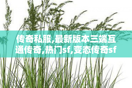 传奇私服,最新版本三端互通传奇,热门sf,变态传奇sf,热门sf